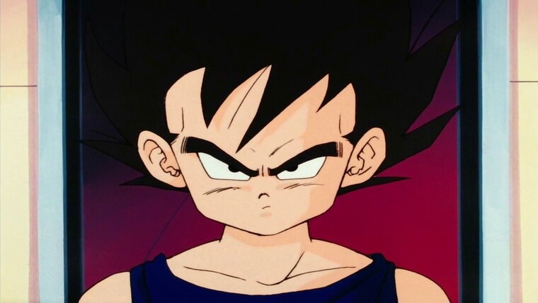 © Dragon Ball Z © 2003 BIRD STUDIO/ SHUEISHA