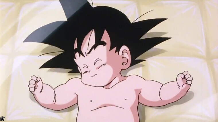 Dragon Ball © BIRD STUDIO/ SHUEISHA, TOEI ANIMATION