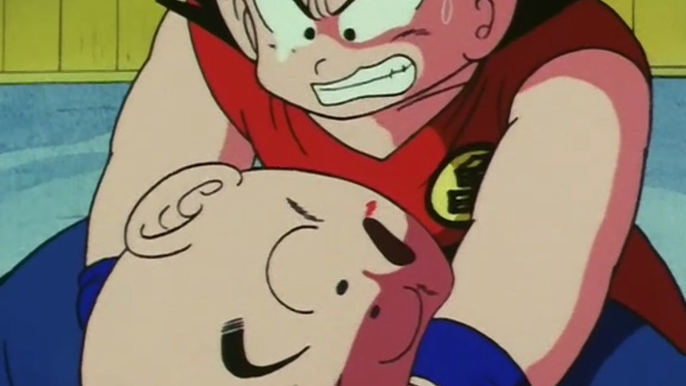 Dragon Ball © BIRD STUDIO/ SHUEISHA, TOEI ANIMATION