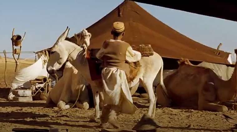 © Gaumont Buena Vista International