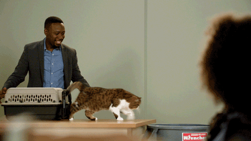 Tu succombes à une allergie (New Girl)