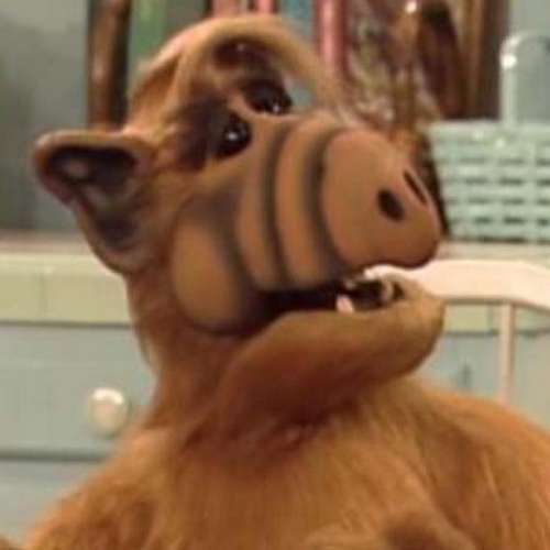 Alf 