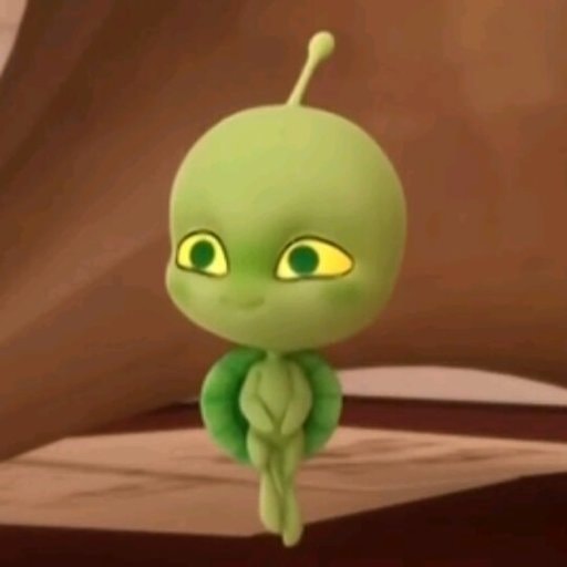 Tu as le Miraculous de la Tortue