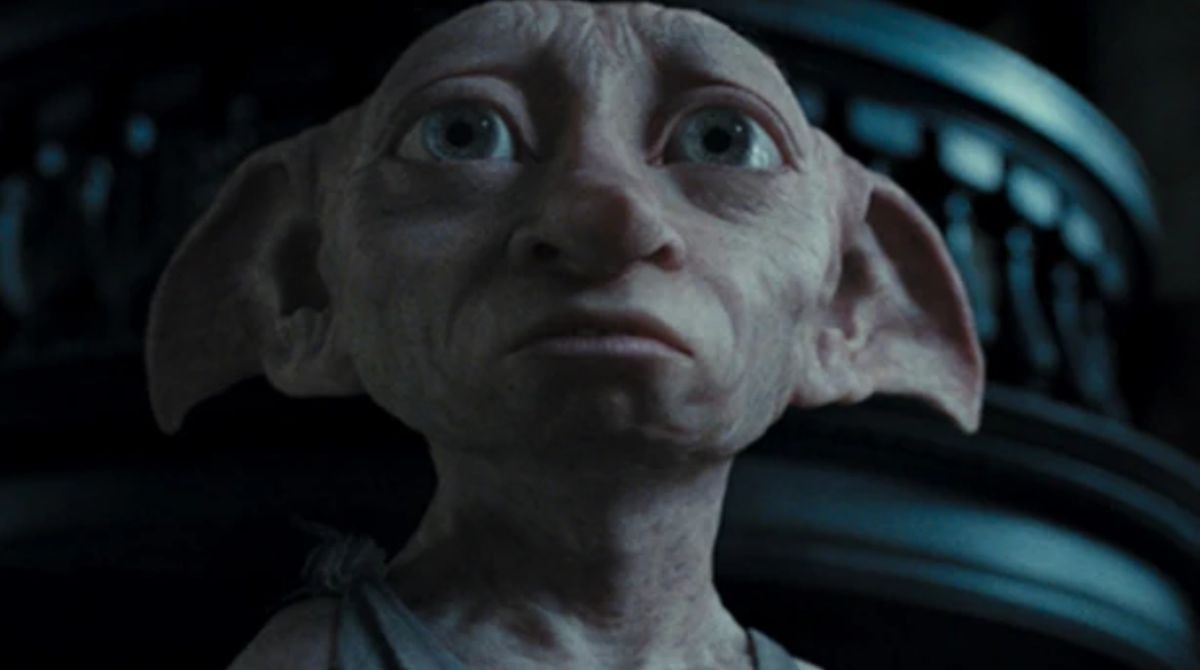 Dobby est sauvé mais...