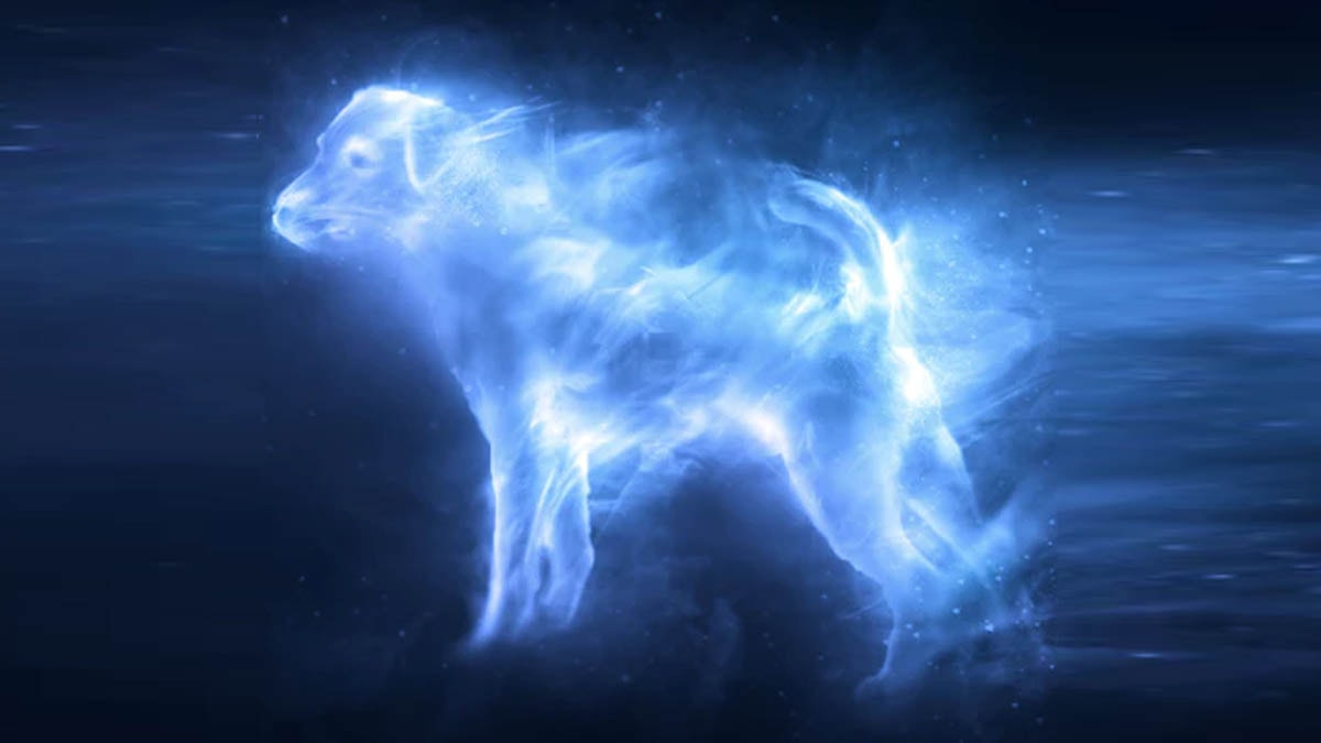 Un Jack Russell Terrier