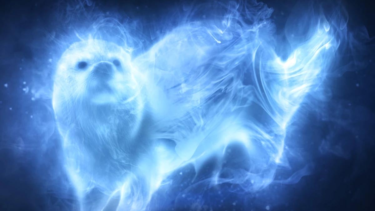 Ton Patronus est la loutre