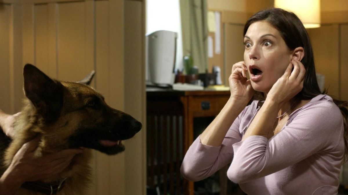 Pas un vrai fan de Desperate Housewives...