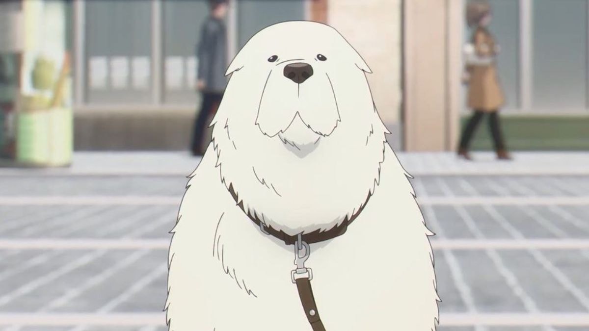 © Tatsuya Endo/Shueisha, SPY×FAMILY Project