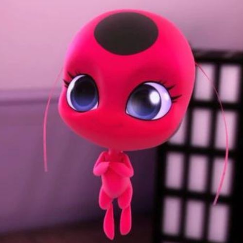 Tikki 