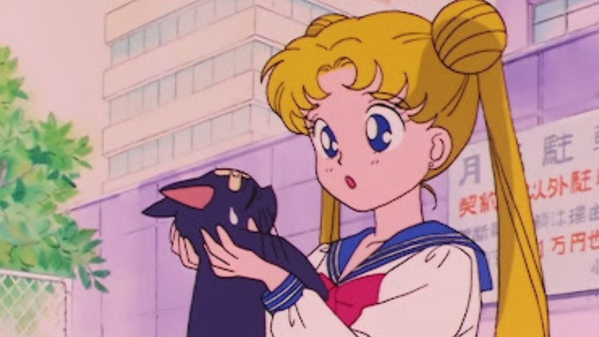 T'as entre 25 et 35 ans