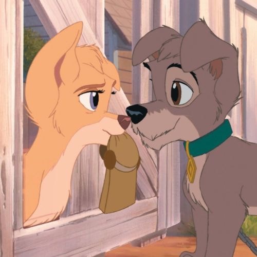 La Belle et le Clochard 2 : l'appel de la rue