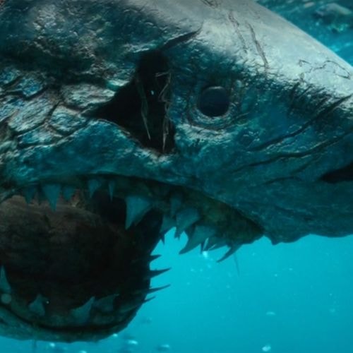 Le requin mort-vivant