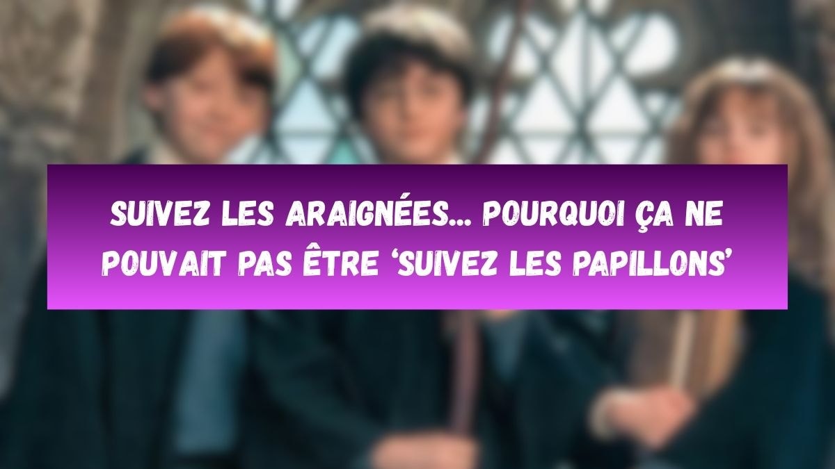 © Warner Bros / Canva